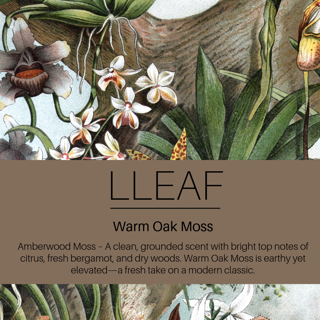 Warm Oak Moss Duo – LLEAF Body Spray + Roll-On Scent LIMITED EDITION