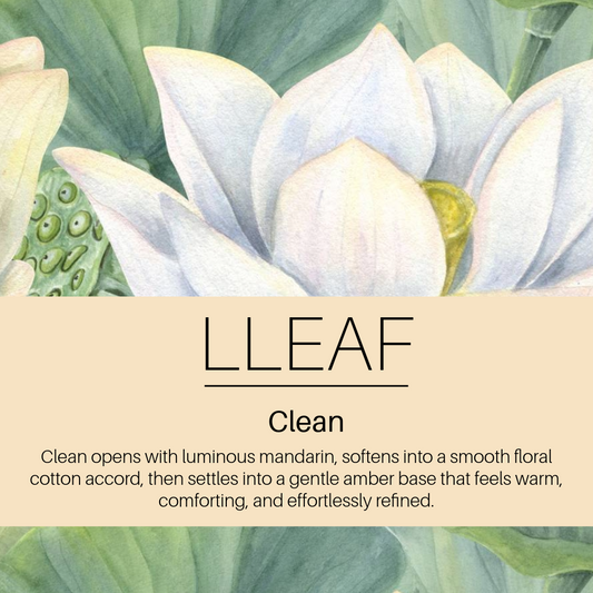 Clean LLEAF® Oil + Stone Set
