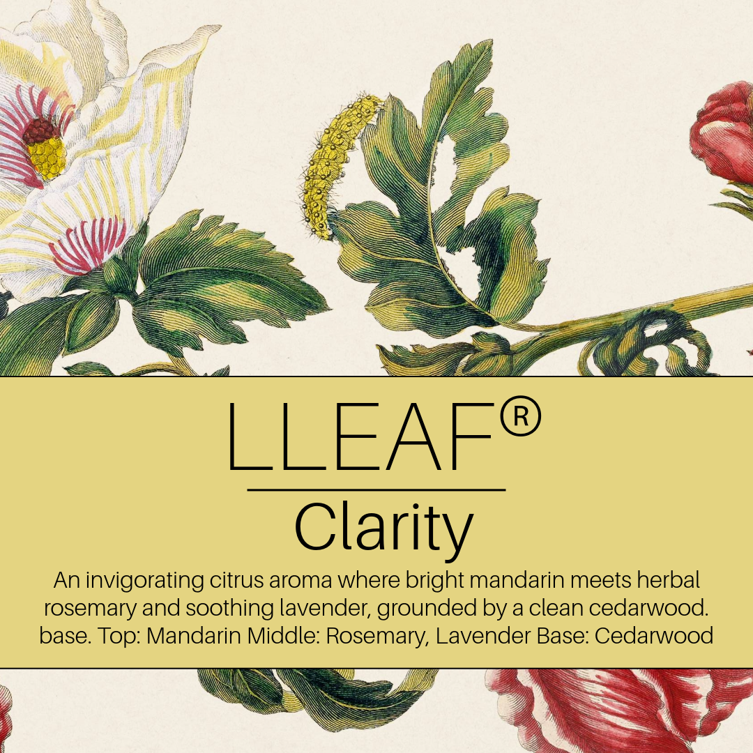 Clarity Citrus - LLEAF® Foaming Hand + Body Soap
