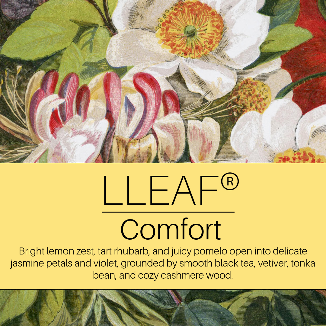 Comfort - LLEAF® Moisture Ritual Set