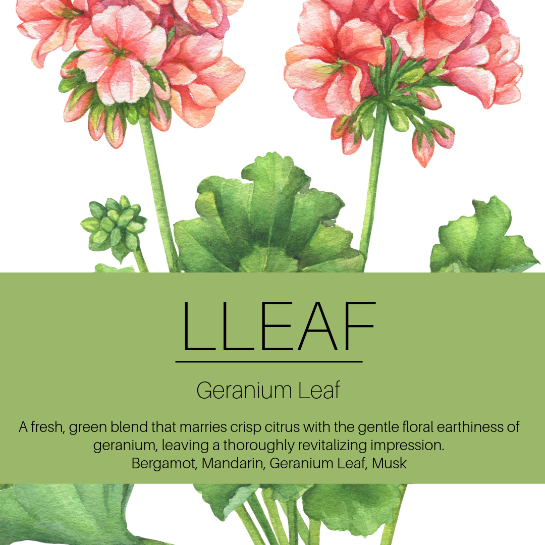 Illustration of pink flowers and green leaves with 'LLEAF' branding and product description.