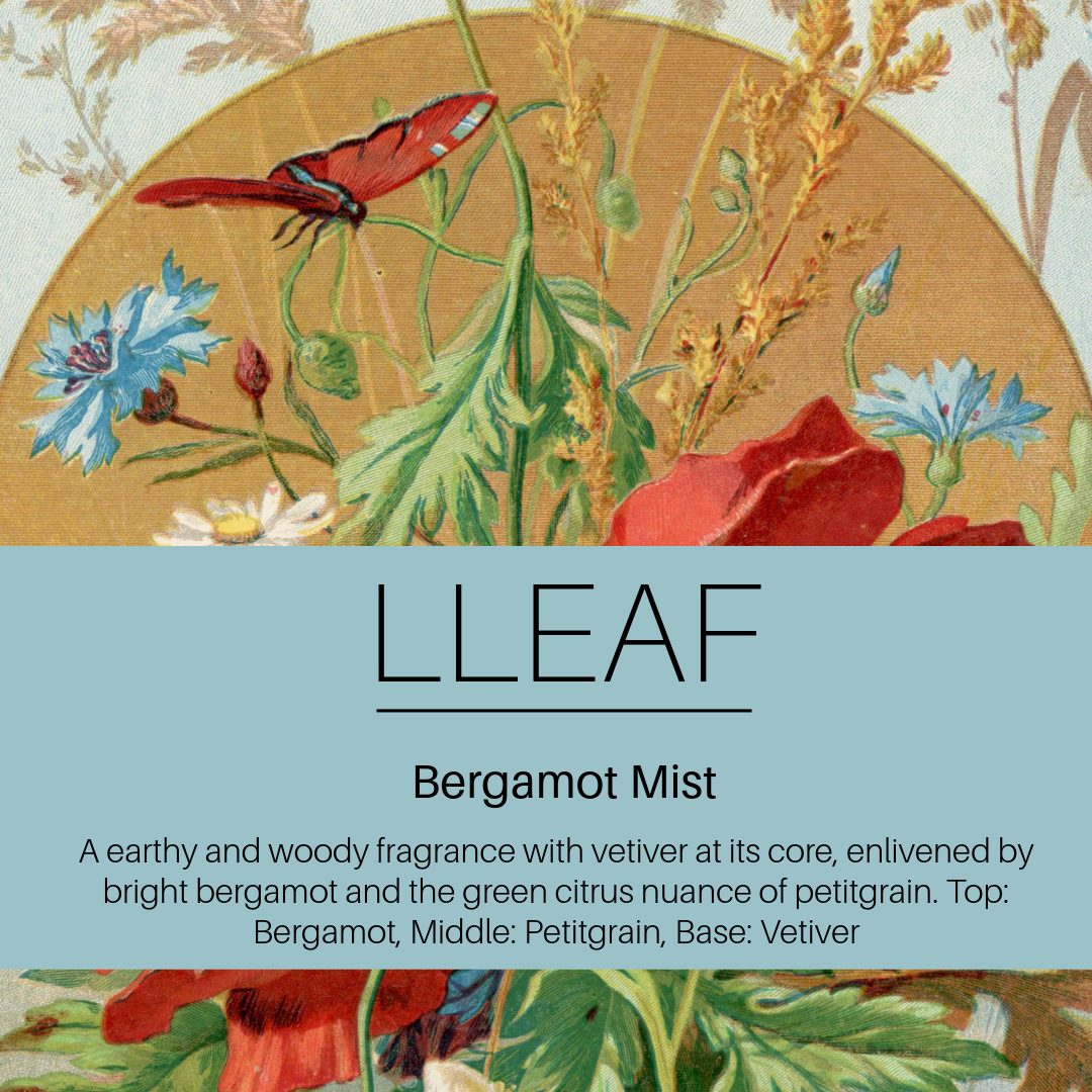 Collection of Bergamot Mist, Warm Oud, Black Fig Essential Oils with Scent Stones - 46% Savings