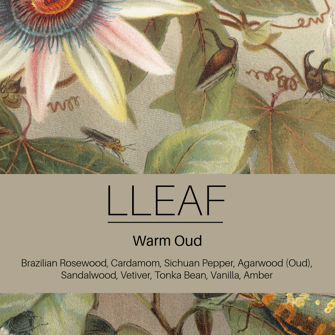 Product packaging with botanical design and 'LLEAF' branding for Warm Oud fragrance.