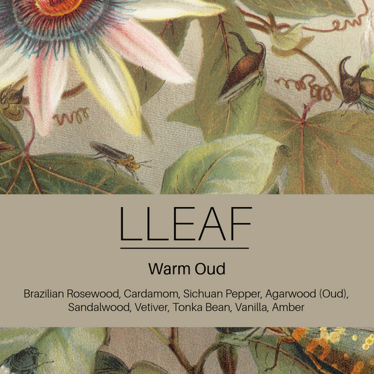 Product packaging with botanical design and 'LLEAF' branding for Warm Oud fragrance.