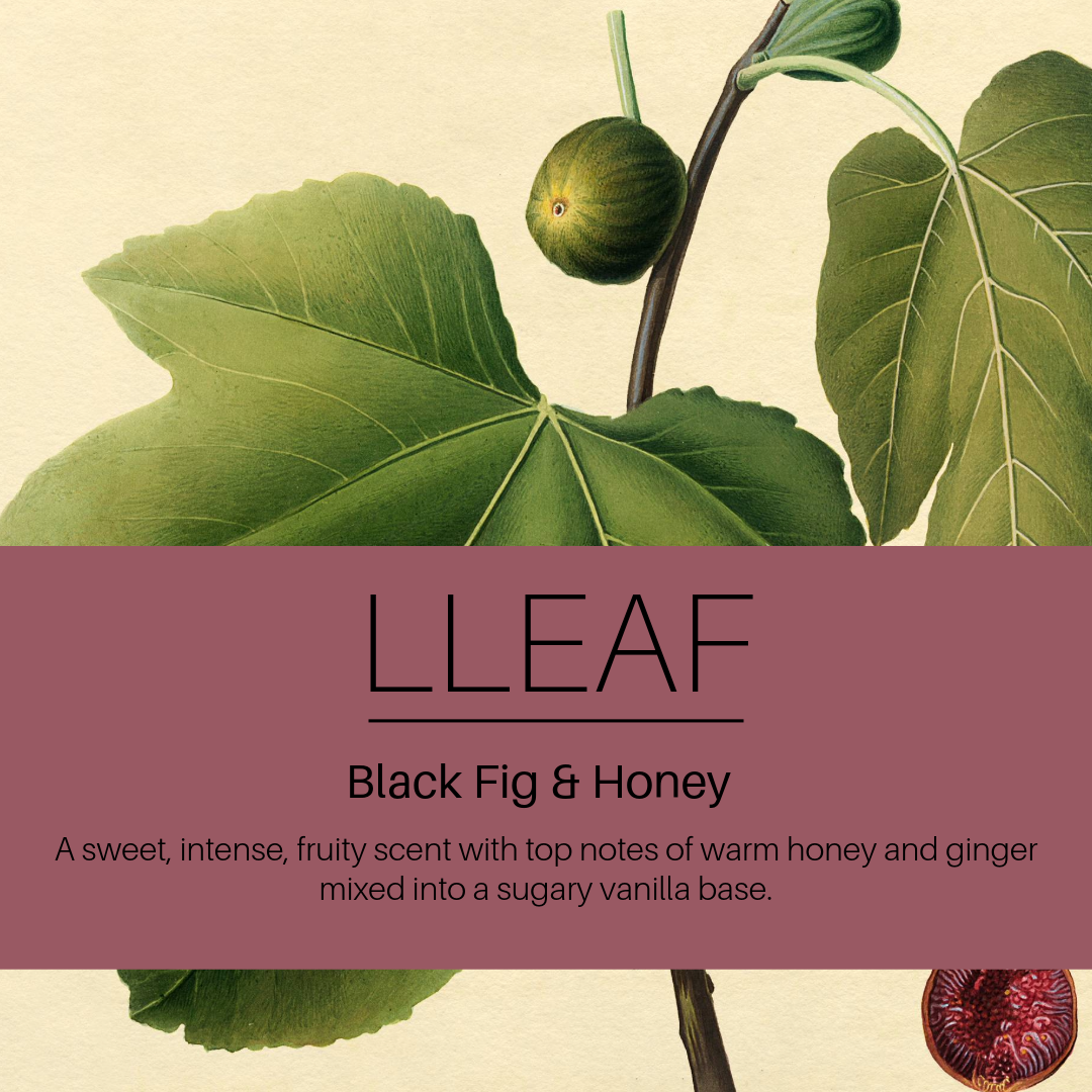Collection of Bergamot Mist, Warm Oud, Black Fig Essential Oils with Scent Stones - 46% Savings