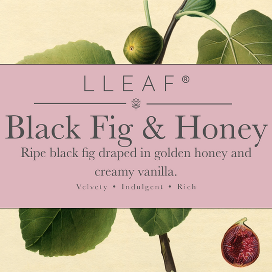 Black Fig and Honey – LLEAF Body Oil