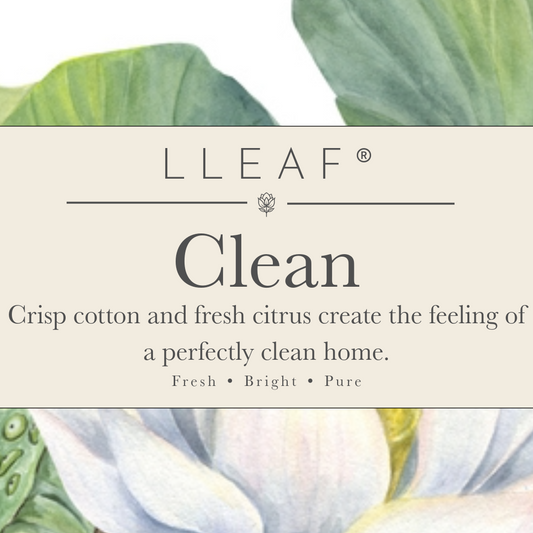 Clean – LLEAF® Body Oil