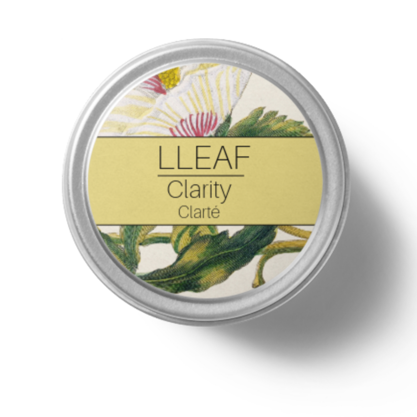 Solid Fragrances - LLeaf Clarity