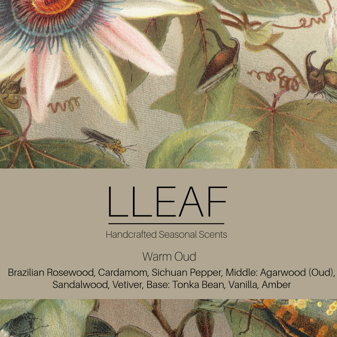 Warm Oud — LLEAF Essential Oil