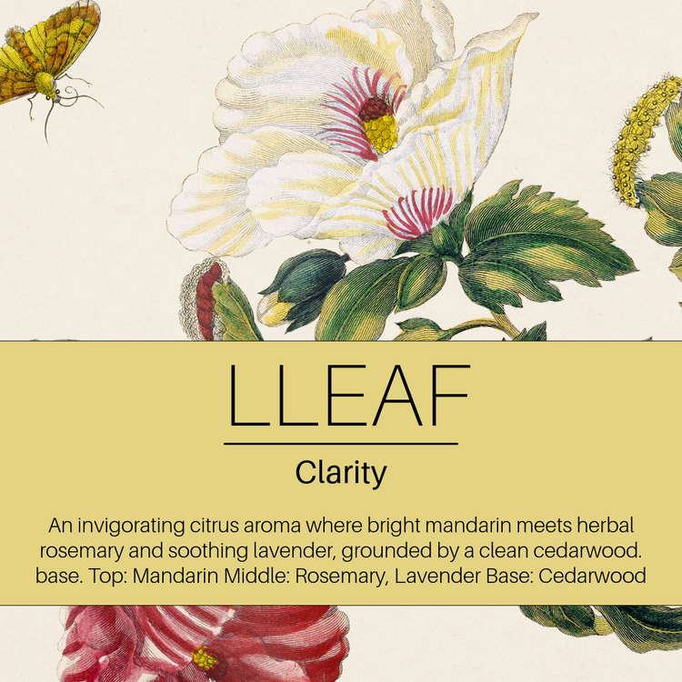 Clarity Collection