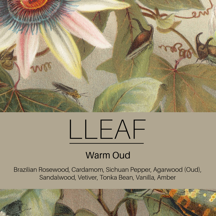 Warm Oud