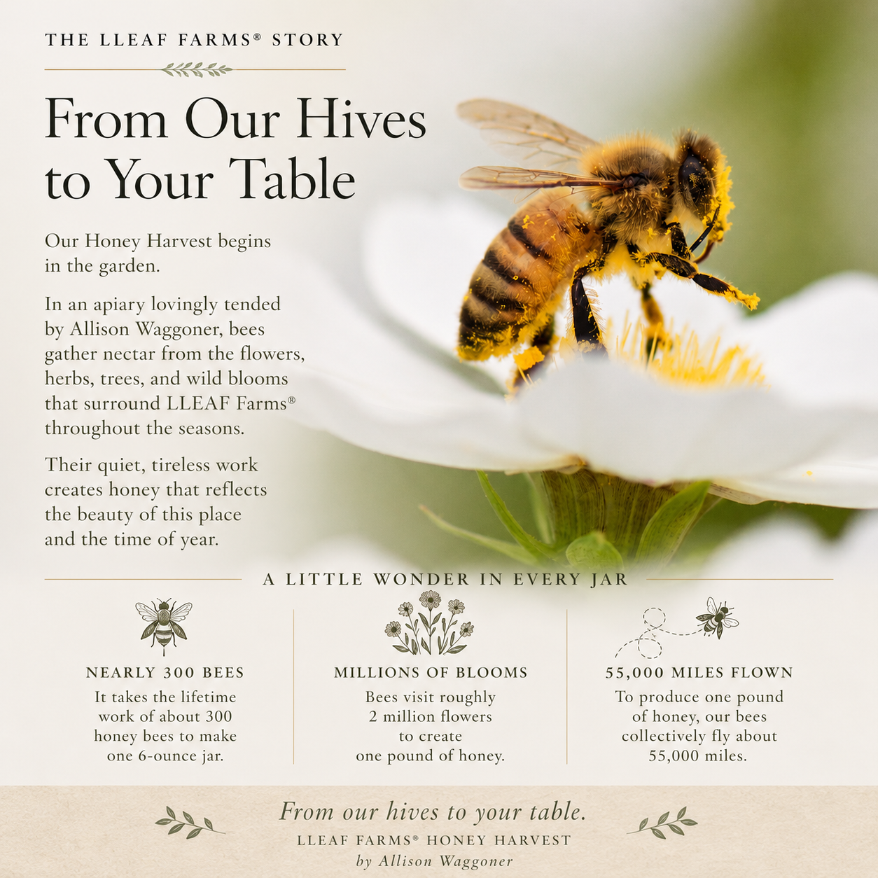 LLEAF Farms® Spring HONEY HARVEST No.55 Spring 2026