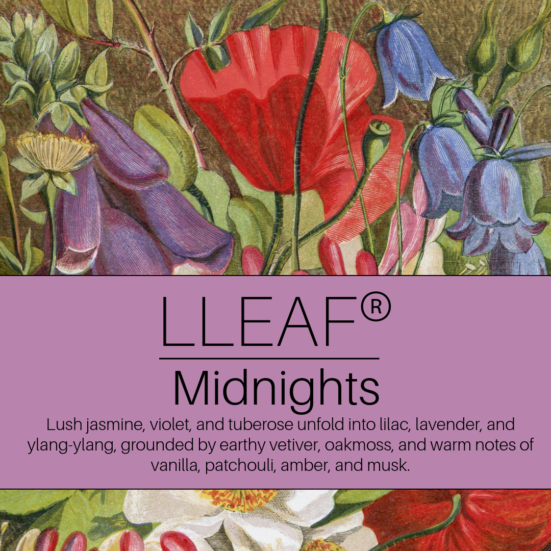 Midnights - LLEAF® Foaming Hand + Body Soap