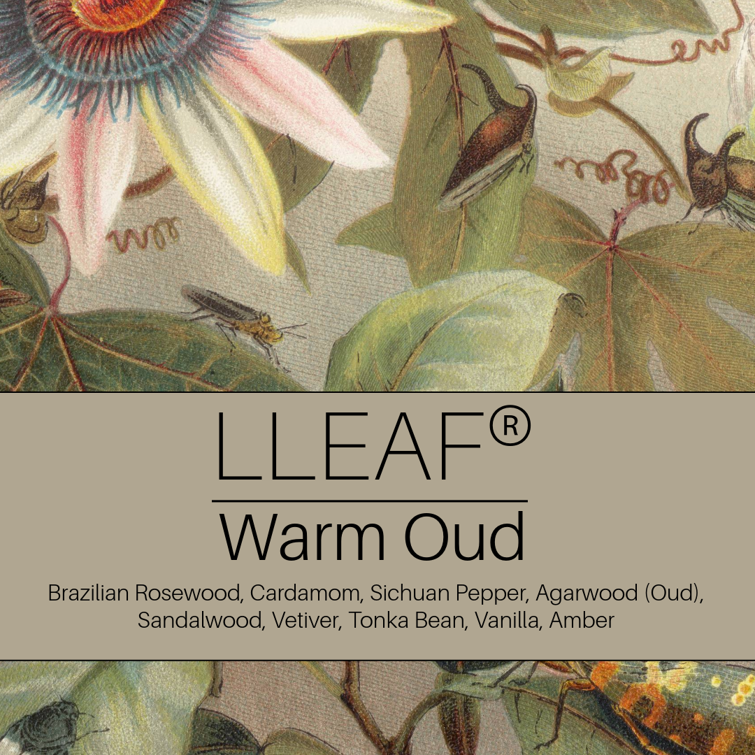 Bergamot Mist, Oud, and Black Fig - LLEAF® Fragrance Collection set of three