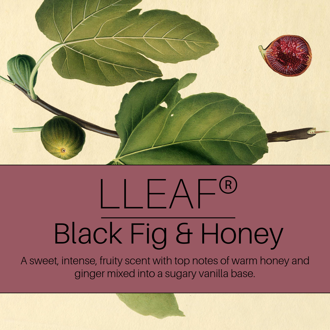 Black Fig & Honey - LEAF® Roller Scent Ritual