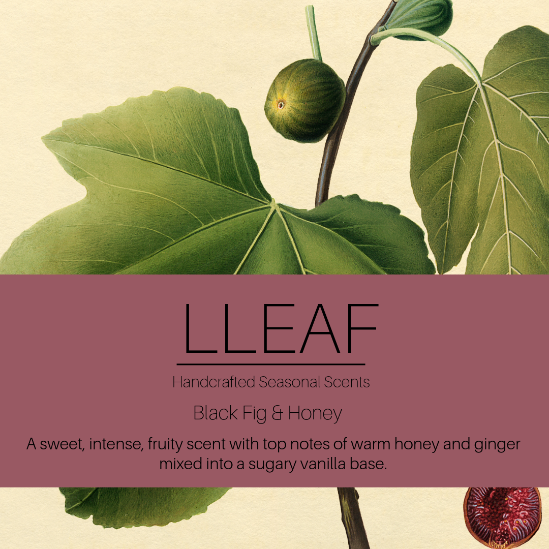 Black Fig & Honey – LLEAF Oil + Stone Set