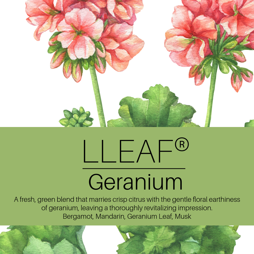 Geranium Leaf - LLEAF Foaming Hand + Body Soap
