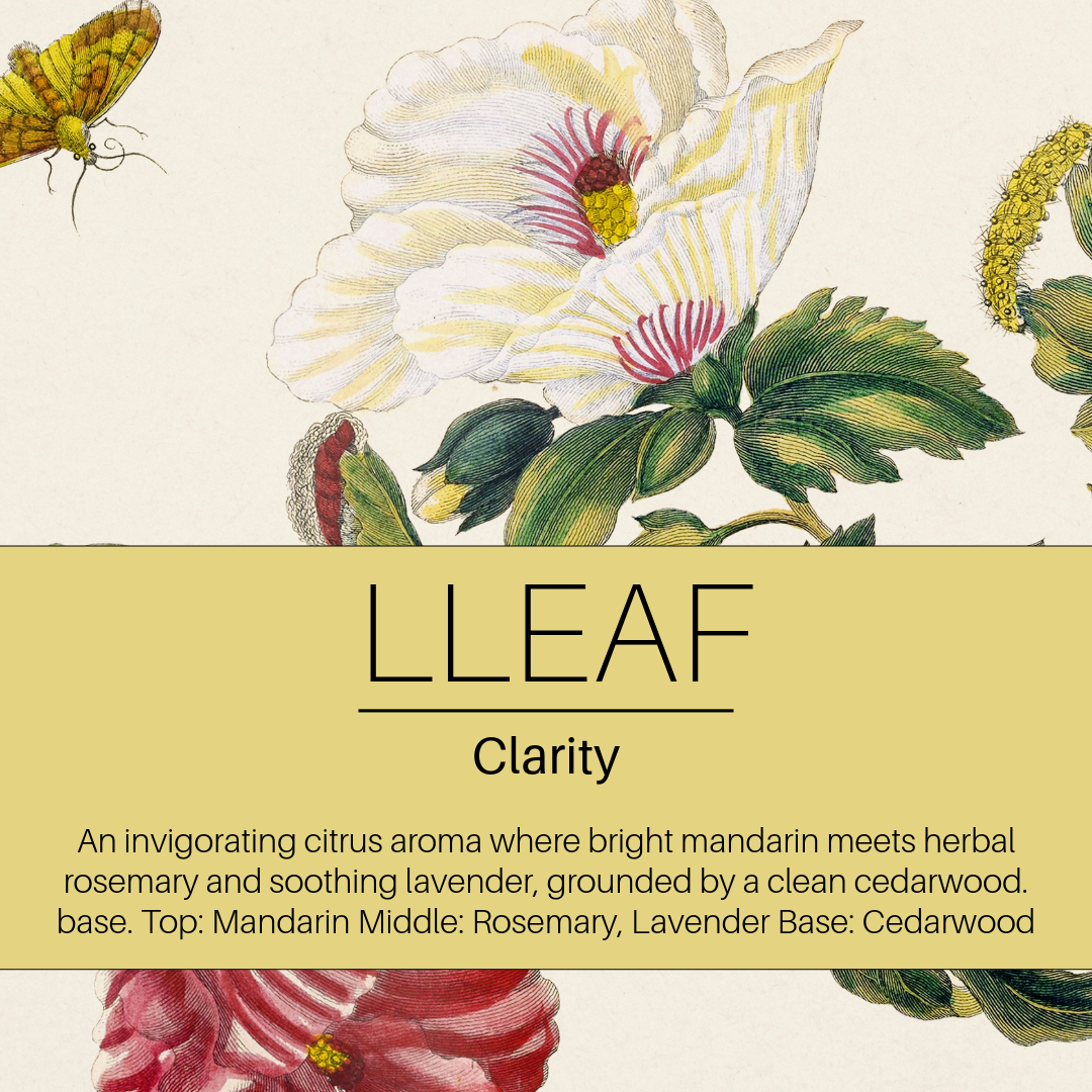 Clarity – LLEAF Oil + Stone Set