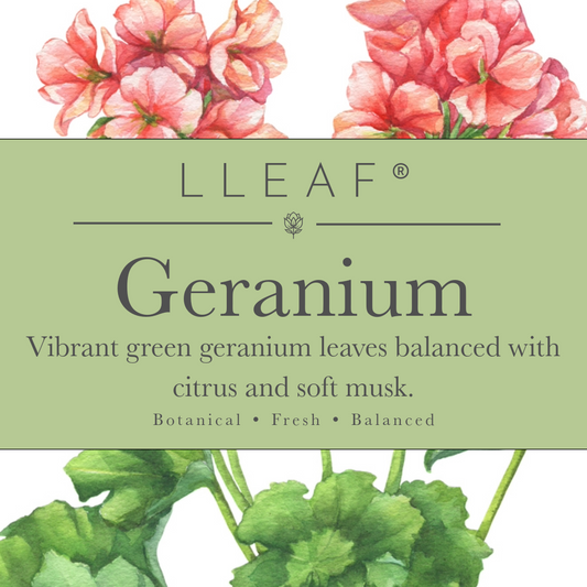 Geranium Leaf - LLEAF Foaming Hand + Body Soap