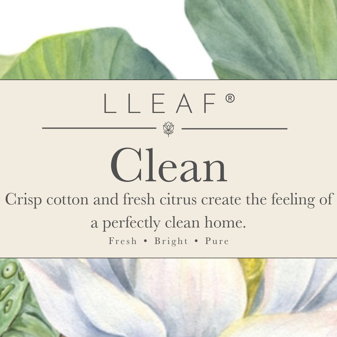 Clean - LLEAF® Foaming Hand + Body Soap