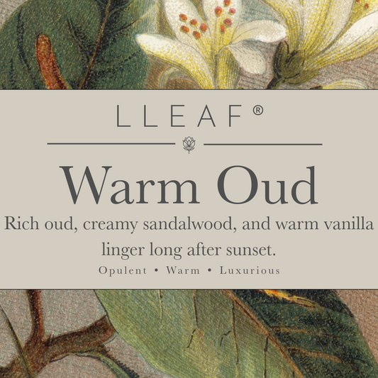 Warm Oud – LLEAF Body Oil