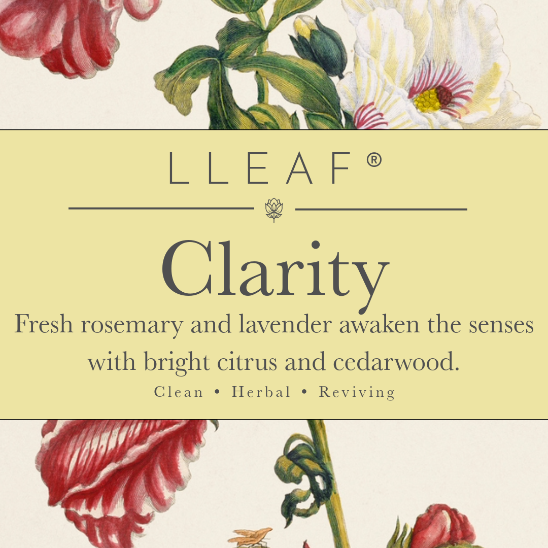 Clarity Citrus - LLEAF® Foaming Hand + Body Soap