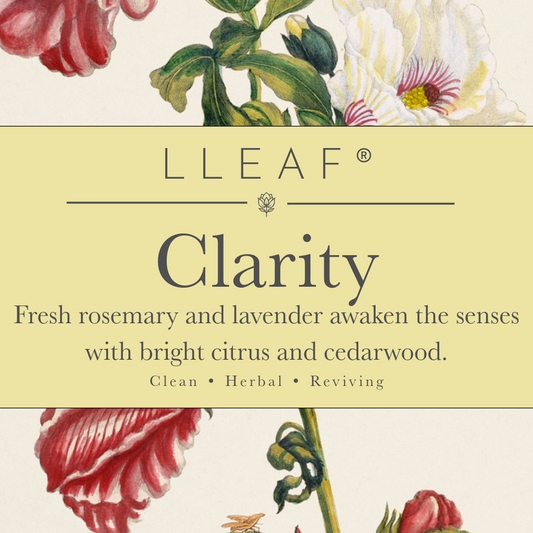 Clarity Citrus - LLEAF® Foaming Hand + Body Soap