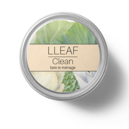 Vanilla Sandalwood - LLEAF Solid Fragrances