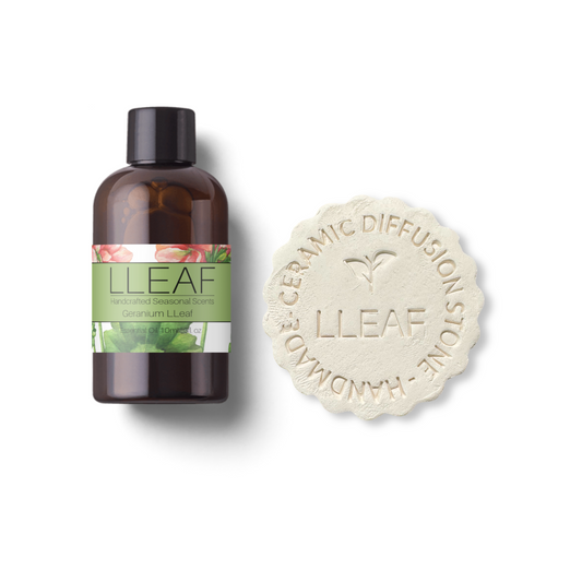 Geranium Leaf – LLEAF Oil + Stone Set