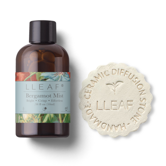 Bergamot Mist – LLEAF® Oil + Stone Set