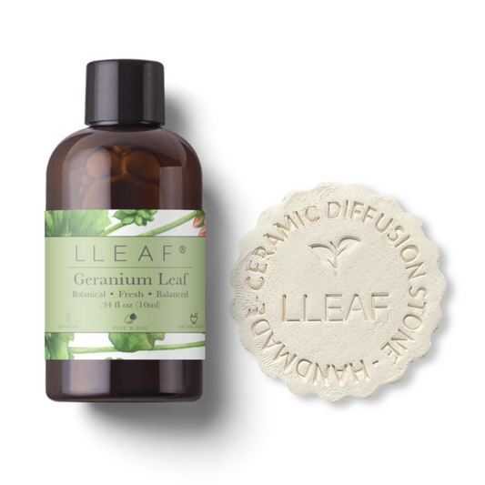 Geranium Leaf – LLEAF Oil + Stone Set