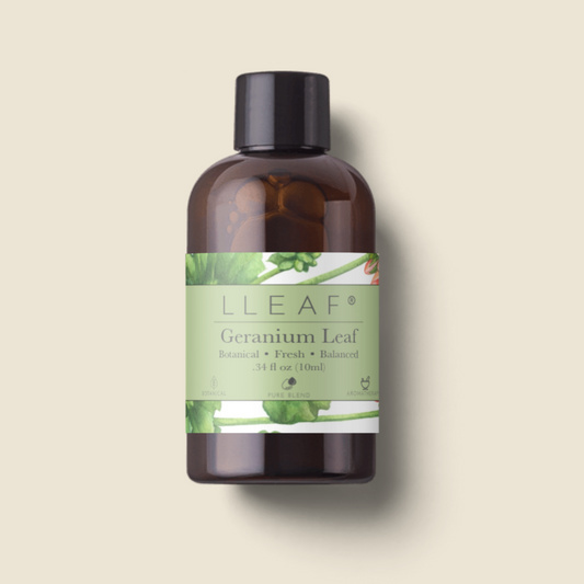 Geranium Leaf — LLEAF Essential Oil