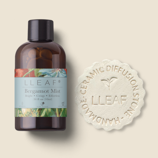 Bergamot Mist – LLEAF® Oil + Stone Set