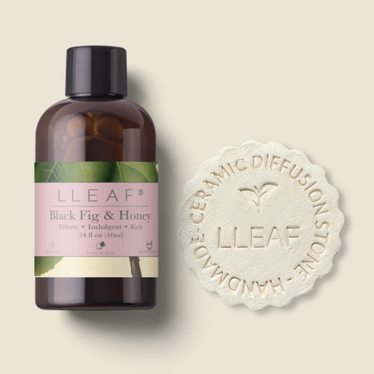 Black Fig & Honey – LLEAF® Oil + Stone Set